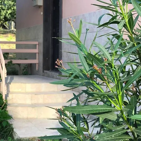 إيبيك ترابزون